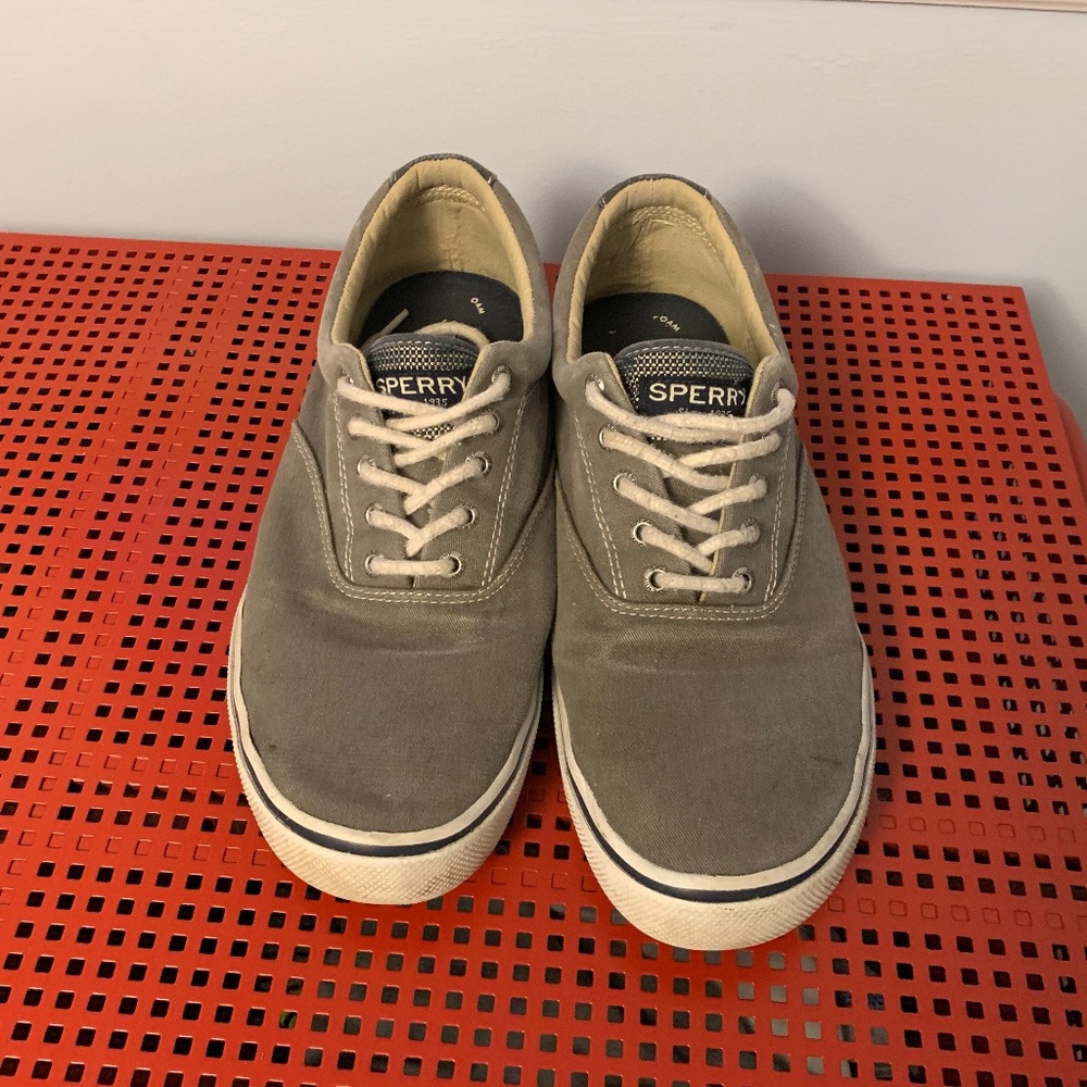 Mens Sperry shoe